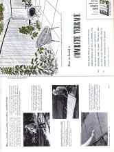 Better Homes & Gardens April 1958 Magazine Article: How to build a CONCRETE TERRACE