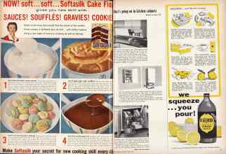 Better Homes & Gardens April 1958 Magazine Article: Page 116