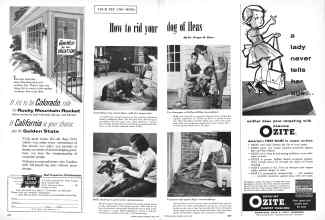 Better Homes & Gardens April 1958 Magazine Article: Page 204