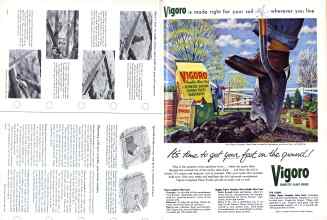 Better Homes & Gardens April 1958 Magazine Article: Page 220