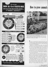 Better Homes & Gardens May 1958 Magazine Article: How to grow annuals