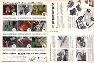 Better Homes & Gardens May 1958 Magazine Article: Page 186