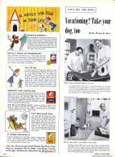 Better Homes & Gardens June 1958 Magazine Article: Vacationing? Take your dog, too