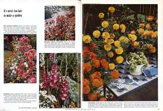 Better Homes & Gardens June 1958 Magazine Article: It's never too late to make a garden