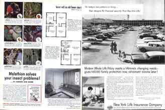 Better Homes & Gardens June 1958 Magazine Article: Page 134