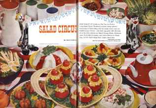 Better Homes & Gardens July 1958 Magazine Article: Page 62