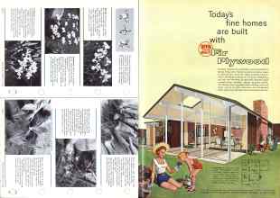 Better Homes & Gardens July 1958 Magazine Article: Page 96