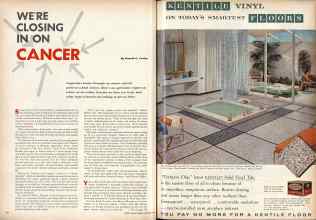 Better Homes & Gardens September 1958 Magazine Article: Page 38