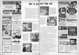 Better Homes & Gardens September 1958 Magazine Article: How to grow grass from seed