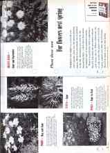 Better Homes & Gardens October 1958 Magazine Article: For flowers next spring