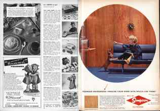 Better Homes & Gardens November 1958 Magazine Article: Page 48