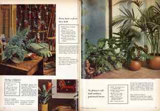 Better Homes & Gardens November 1958 Magazine Article: Article