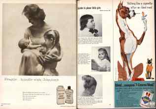 Better Homes & Gardens November 1958 Magazine Article: Page 164