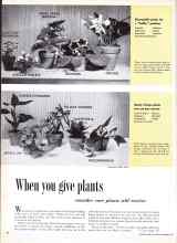Better Homes & Gardens December 1958 Magazine Article: When you give plants consider care plants will receive