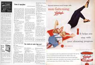 Better Homes & Gardens December 1958 Magazine Article: Page 102