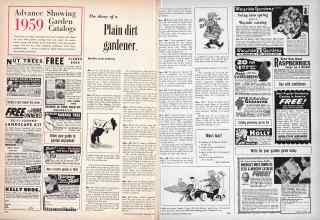 Better Homes & Gardens December 1958 Magazine Article: The diary of a Plain dirt gardener