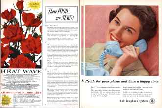 Better Homes & Gardens January 1959 Magazine Article: Page 22