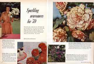 Better Homes & Gardens January 1959 Magazine Article: Sparkling newcomers for '59