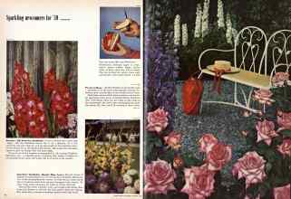 Better Homes & Gardens January 1959 Magazine Article: Page 36