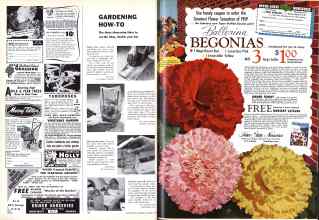 Better Homes & Gardens January 1959 Magazine Article: Page 98