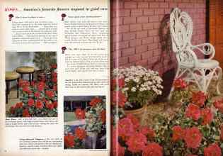 Better Homes & Gardens February 1959 Magazine Article: Page 60