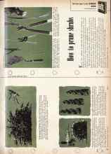 Better Homes & Gardens March 1959 Magazine Article: How to prune shrubs