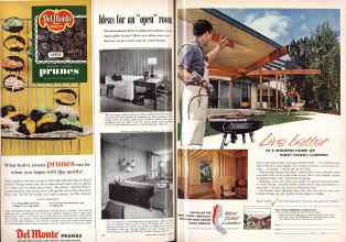 Better Homes & Gardens March 1959 Magazine Article: Page 20
