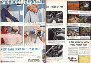 Better Homes & Gardens March 1959 Magazine Article: Page 24
