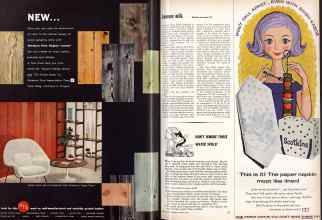 Better Homes & Gardens March 1959 Magazine Article: Page 36