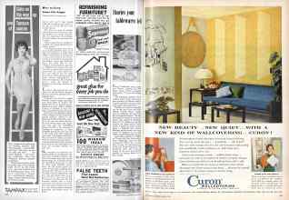 Better Homes & Gardens March 1959 Magazine Article: Page 138