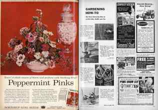 Better Homes & Gardens March 1959 Magazine Article: Page 158