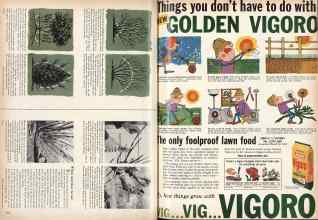 Better Homes & Gardens March 1959 Magazine Article: Page 162