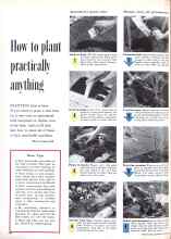 Better Homes & Gardens April 1959 Magazine Article: How to plant practically anything