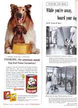 Better Homes & Gardens April 1959 Magazine Article: While you're away, board your dog
