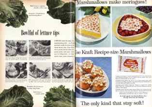 Better Homes & Gardens April 1959 Magazine Article: Page 114