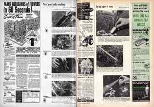 Better Homes & Gardens April 1959 Magazine Article: Page 196