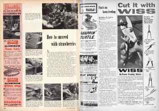 Better Homes & Gardens April 1959 Magazine Article: Page 200