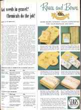 Better Homes & Gardens May 1959 Magazine Article: Got weeds in gravel? Chemicals do the job!