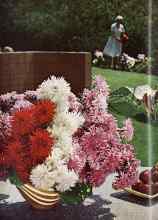 Better Homes & Gardens May 1959 Magazine Article: All these from SEEDS!