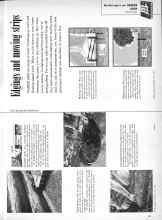Better Homes & Gardens May 1959 Magazine Article: Edgings and mowing strips