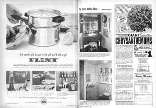 Better Homes & Gardens May 1959 Magazine Article: Page 16