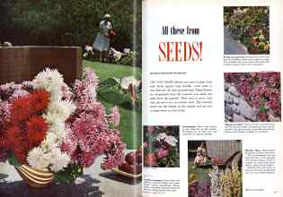 Better Homes & Gardens May 1959 Magazine Article: Page 54