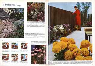 Better Homes & Gardens May 1959 Magazine Article: Page 60