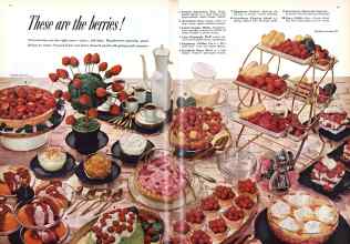 Better Homes & Gardens May 1959 Magazine Article: Page 74