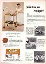 Better Homes & Gardens June 1959 Magazine Article: Faster shade from sapling trees