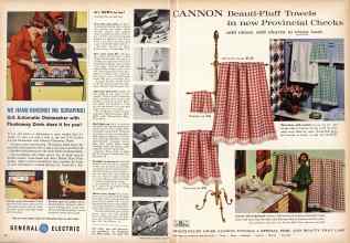Better Homes & Gardens June 1959 Magazine Article: Page 38