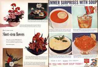 Better Homes & Gardens June 1959 Magazine Article: Page 72