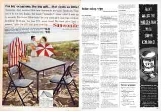 Better Homes & Gardens June 1959 Magazine Article: Page 114