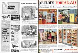 Better Homes & Gardens June 1959 Magazine Article: Page 118