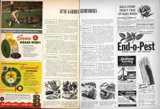 Better Homes & Gardens June 1959 Magazine Article: JUNE GARDEN REMINDERS